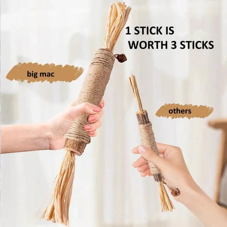 画像代替テキスト