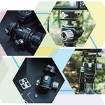 FITTEST X4 Low Center of Gravity High Locking Force Panoramic Ball Head with Quick Release Plate for DSLR & Digital Cameras, Load Max 10kg, YT040 X4