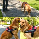 Pet Dog Anti Sprint Oxford Cloth K9 Chest Strap Traction Rope Strap, M for 13-23kg, L for 23-30kg, XL for 28-40kg, XXL for 40-70kg, S for 6-14kg