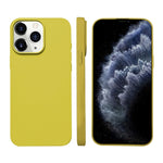 Liquid Silicone Phone MagSafe Case, For iPhone 11 Pro