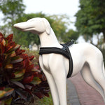 Pet Dogs A7 Reflective Polyester Chest Harness Lead Leash Traction Big Dogs Safety Chain Rope Collar, Size: XS, 2.0*42*50cm, Size: XS, 2.0*42*50cm