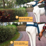 Pet Dogs A7 Reflective Polyester Chest Harness Lead Leash Traction Big Dogs Safety Chain Rope Collar, Size: L, 2.5*68*84cm, Size: L, 2.5*68*84cm