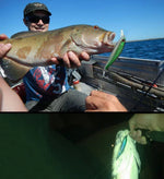 HENGJIA 6 PCS 8.5cm 8.9g Minnow Plastic Hard Baits Fishing Lures Set Fishing Tackle Baits, 6 PCS 8.5cm 8.9g