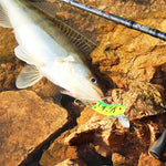 HENGJIA 4.5cm Biomimetic Fly Locusts Fishing Bait Fishing Lures, Random Color Delivery, Grasshopper