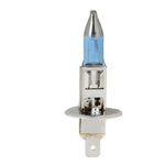 PEGASUS H1 Halogen Car Headlight Lamp, 1600 Lumens Warm White Light, 12V / 100W 5000K, H1