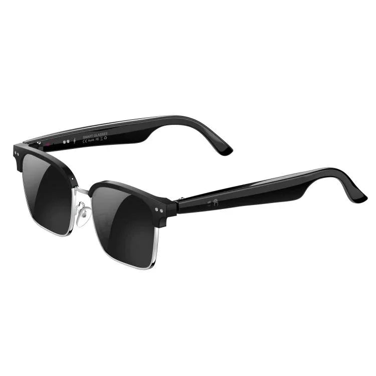 W100D Smart Glasses, Support AI Intelligent Translation / AI Conversation / BT Calling