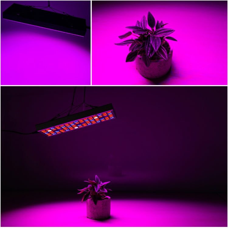 画像代替テキスト