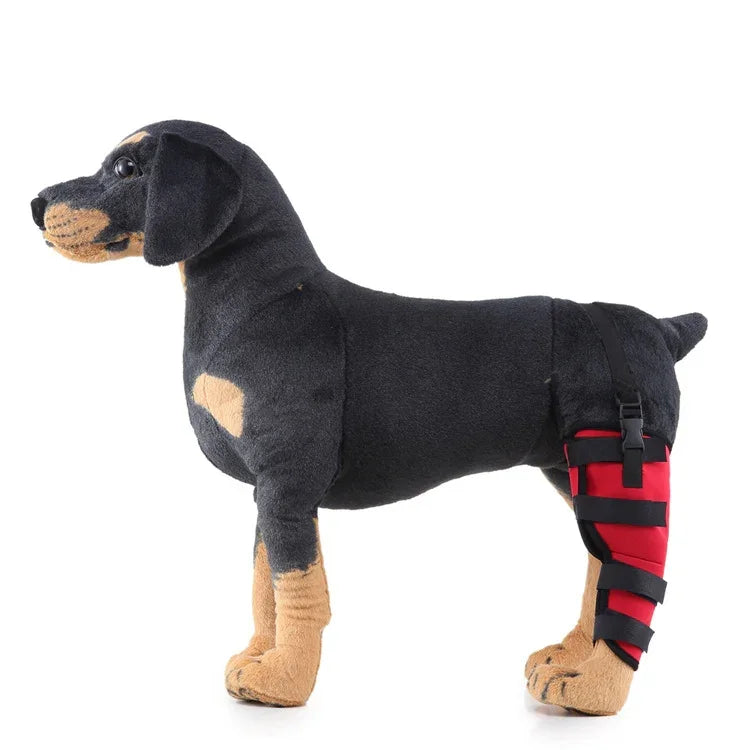 HJ19 Pet Surgery Rehabilitation Back Leg Protector Walking Aids, XS, S, M, L