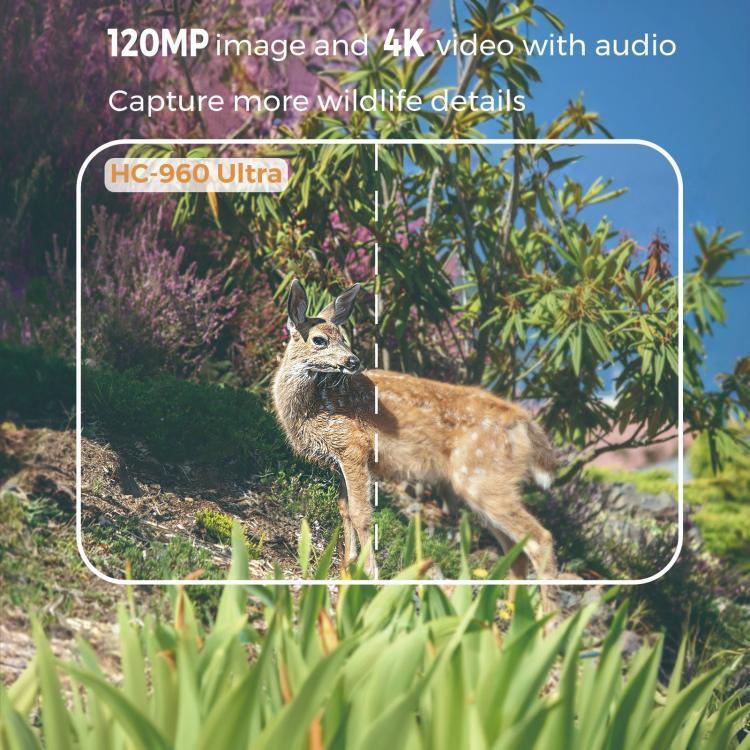 4K 4G Outdoor Tracking Camera With Remote Mobile Control, Supports FTP/SMTP/APP, HC-960Ultra-Li