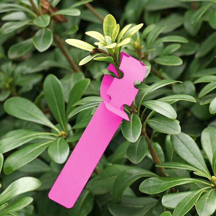 100 PCS Gardening Plant Sapling Seed Hanging Tree Label, Plant Label 5 Pink, Plant Label 5 Yellow, Plant Label 5 Green, Plant Label 5 Blue, Plant Label 5 Red, Plant Label 5 White